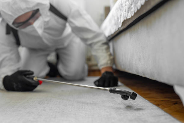 Professional Termite Control technician working in Pine Brook, NJ