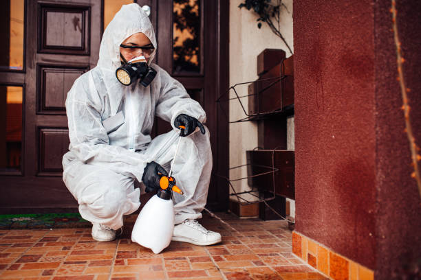 Reliable Termite Control contractor in Pine Brook, NJ by Nex Pest Control