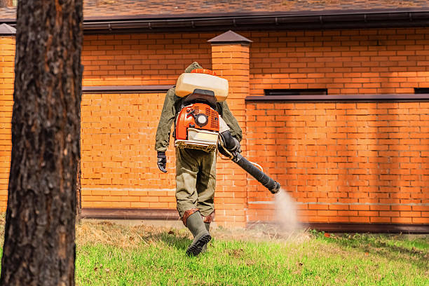 Trusted Fumigation Services service in Pine Brook, NJ - Nex Pest Control